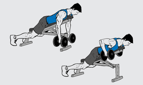 Dumbbell incline bench rows