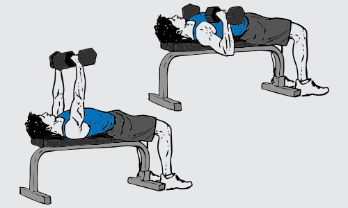 Dumbbell bench press