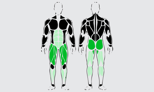 Dumbbell lunges spieren