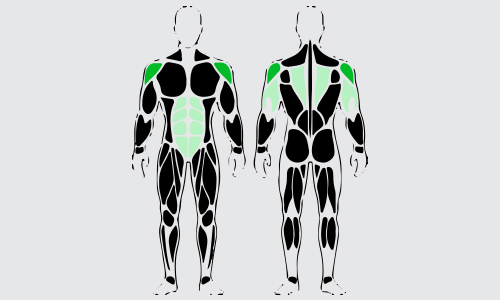 Dumbbell overhead shoulder press spieren