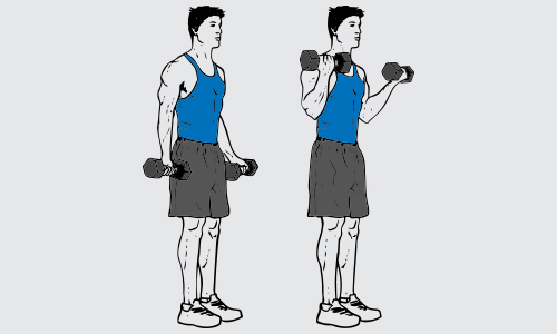 Standing dumbbell biceps curl