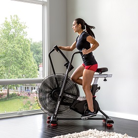 Air bike Schwinn